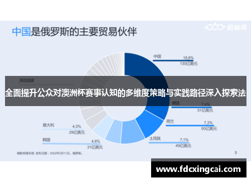 全面提升公众对澳洲杯赛事认知的多维度策略与实践路径深入探索法