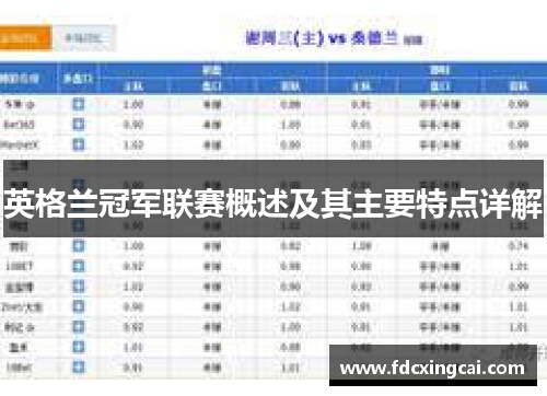 英格兰冠军联赛概述及其主要特点详解 英格兰冠军联赛概述及其主要特点详解