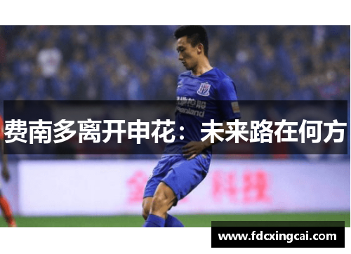 费南多离开申花:未来路在何方 费南多离开申花:未来路在何方